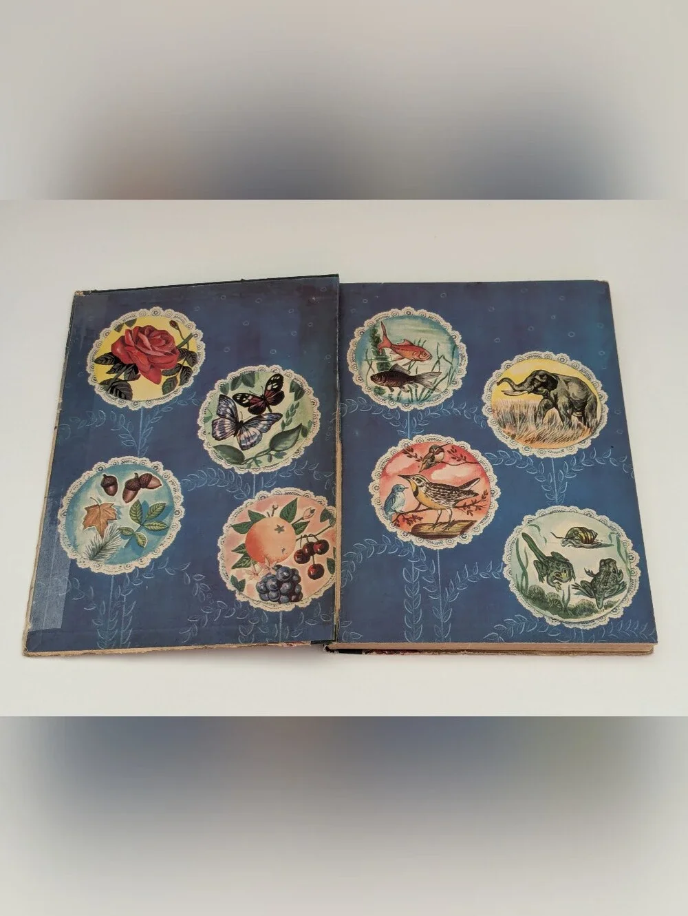 *Vintage* A Picture Book of Nature illustrated by Samuel Nisenson, 1943